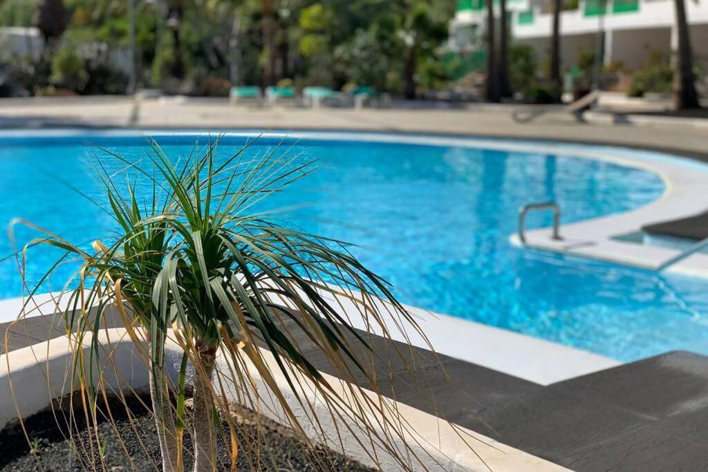 Apartamento Bastian Casas Verdes Costa Teguise Dış mekan fotoğraf